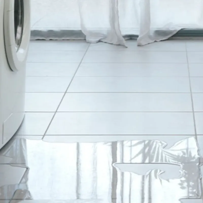 Appliance Leak Cleanup in Mercer County, OH