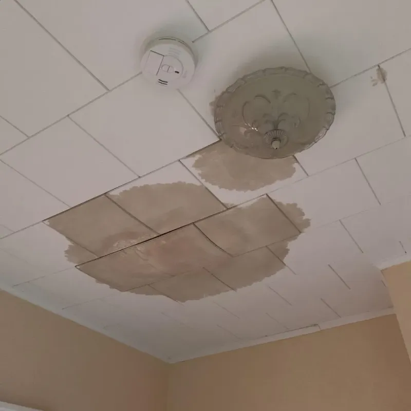 Ceiling Water Damage Repair in Mercer County, OH