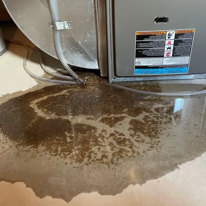 Pipe Burst and Leak Restoration in Mercer County, OH
