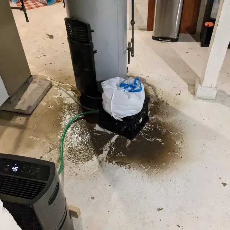 Sewage Backup Cleanup Service in Mercer County, OH